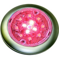 Seadog 401679 Stainless White & Red Led 12V Surface Mount Low Profile Day & Night Task Light With On / Off Switch | #6 Fastener - 401679-1 - 354-4016791F1